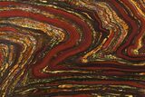 Polished Tiger Iron Stromatolite - ( Billion Years) #96234-1